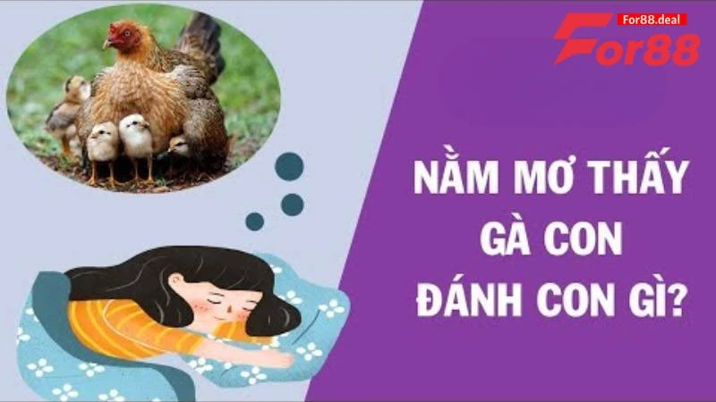 Giải mã giấc mơ thấy gà để chọn số lô đề cực chuẩn